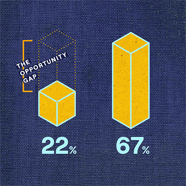 The opportunity gap